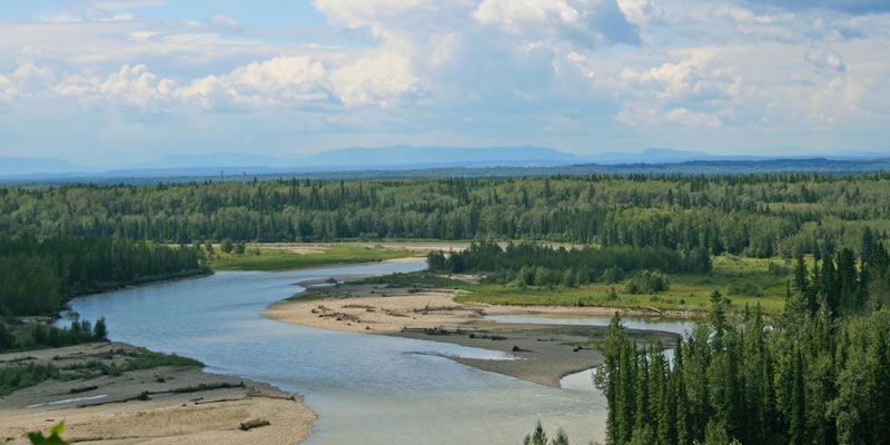 Assessing the Impacts on Aquatic Organisms Exposed to Emerging Contaminants in Wastewater Discharges