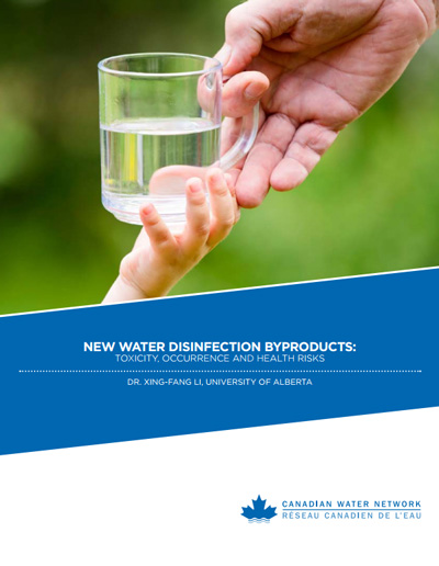 New Water Disinfection Byproducts: Toxicity, Occurrence and Health Risks