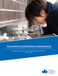 Évaluation de l'exposition du consommateur au plomb dans l'eau du robinet et identification de mesures correctives