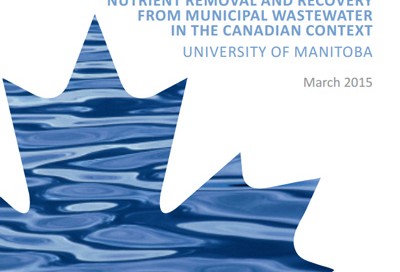 Comprehensive Report: Options for Improved Nutrient Removal and Recovery from Municipal Wastewater in the Canadian Context
