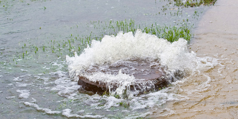 Encourager l’infrastructure verte pour la gestion des eaux pluviales : mobilisation des connaissances à l’intention des collectivités canadiennes