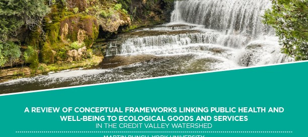 A Review of Conceptual Frameworks Linking Public Health and Well-Being to Ecological Goods and Services in the Credit Valley Watershed