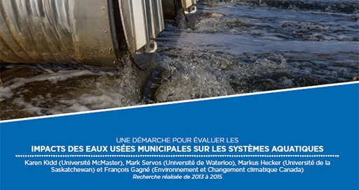 Une démarche pour évaluer les impacts des eaux usées municipales sur les systèmes aquatiques