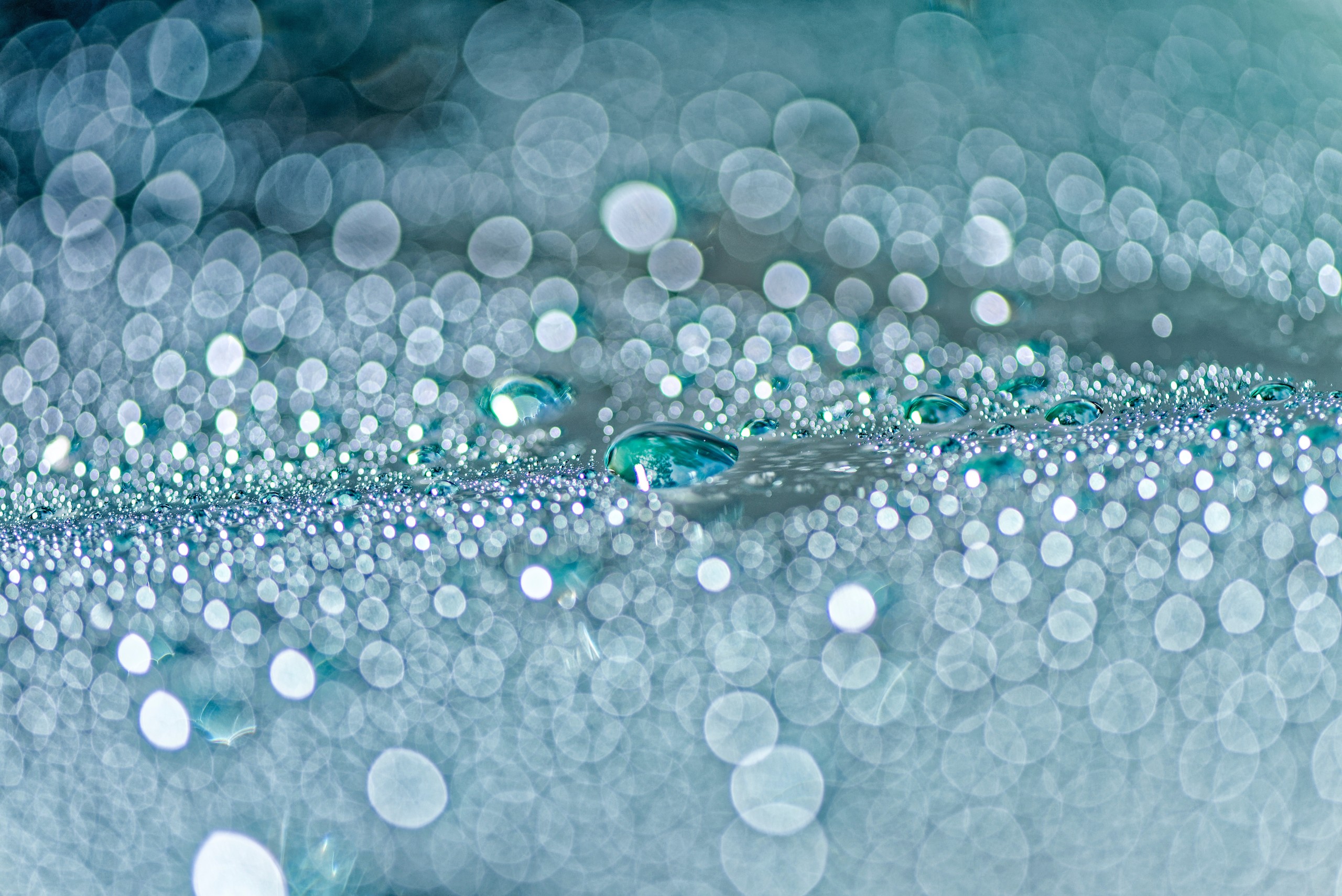 scott-johnson-526871-unsplash